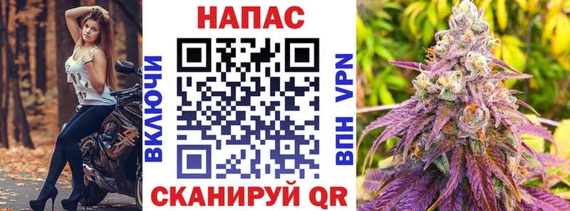 Купить  Питкяранта  Канабис план 